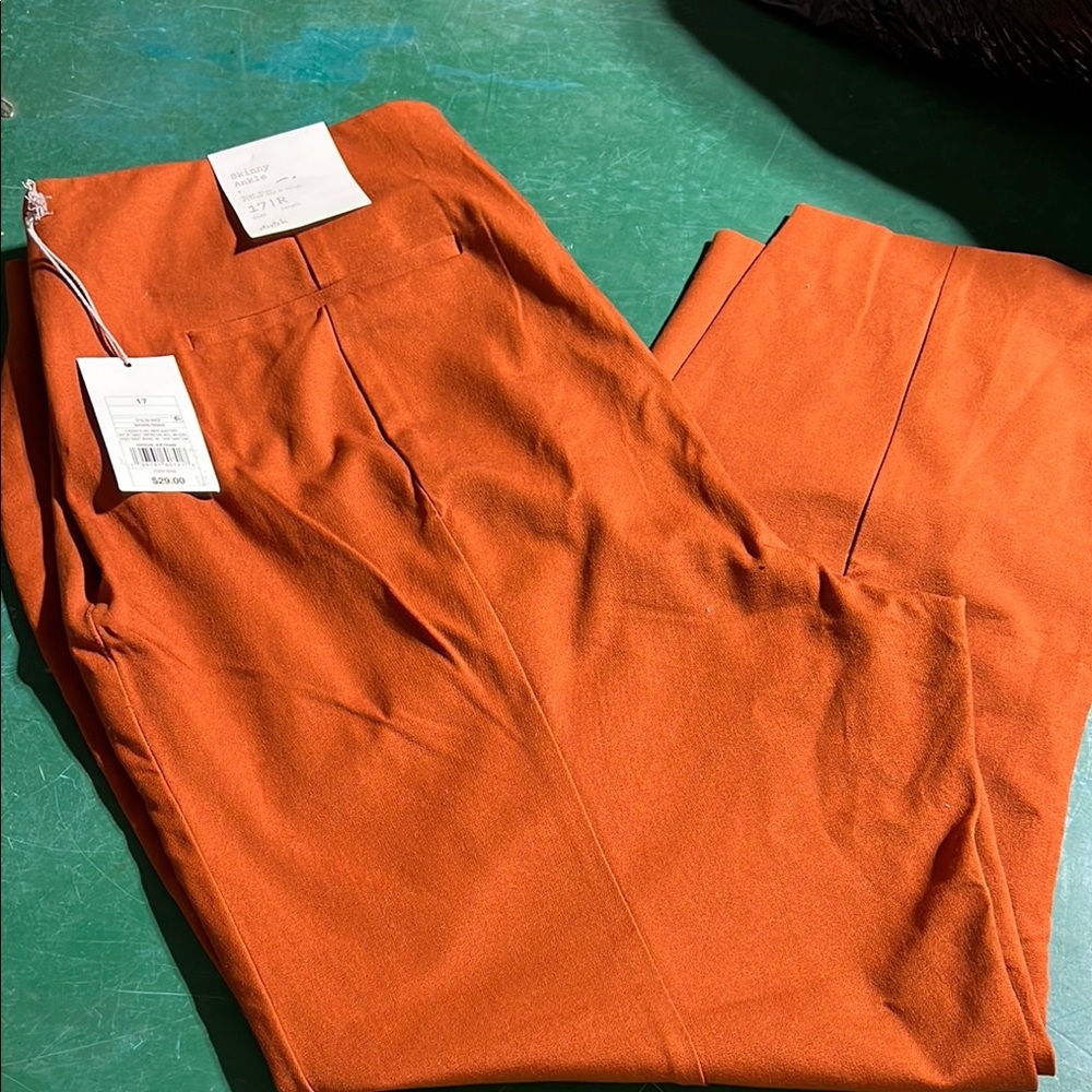 A New Day Orange Pants Vibrant Matte Finish